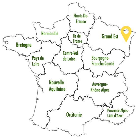 carte marty