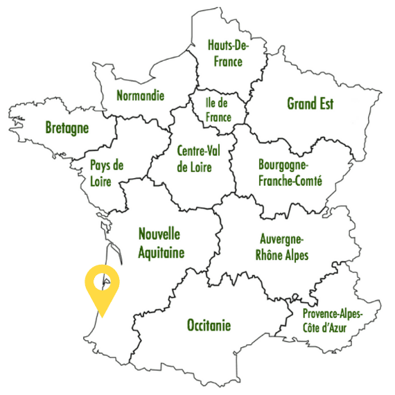 Carte Sophie